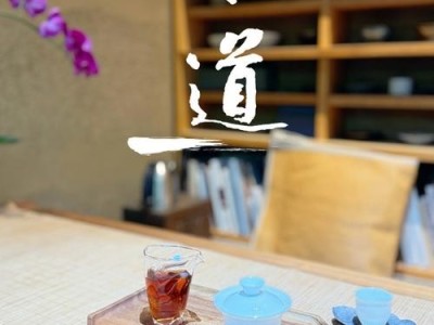 成都品茶，解锁生活哲学的入门之道