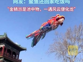 济南鳌鱼出逃寻回，全网共情下的城市温暖故事