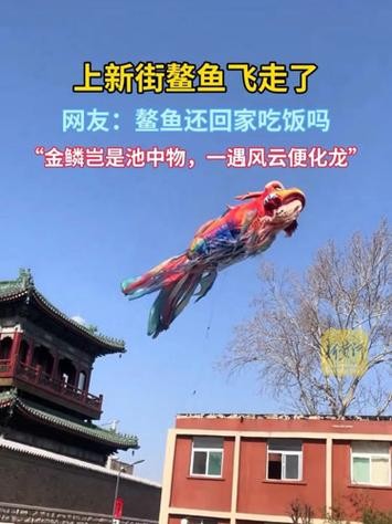 济南鳌鱼出逃寻回，全网共情下的城市温暖故事